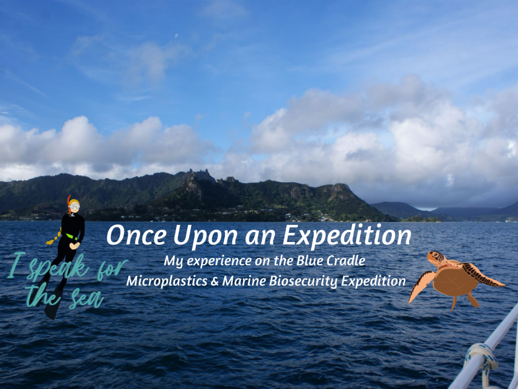 Once Upon an Expedition
