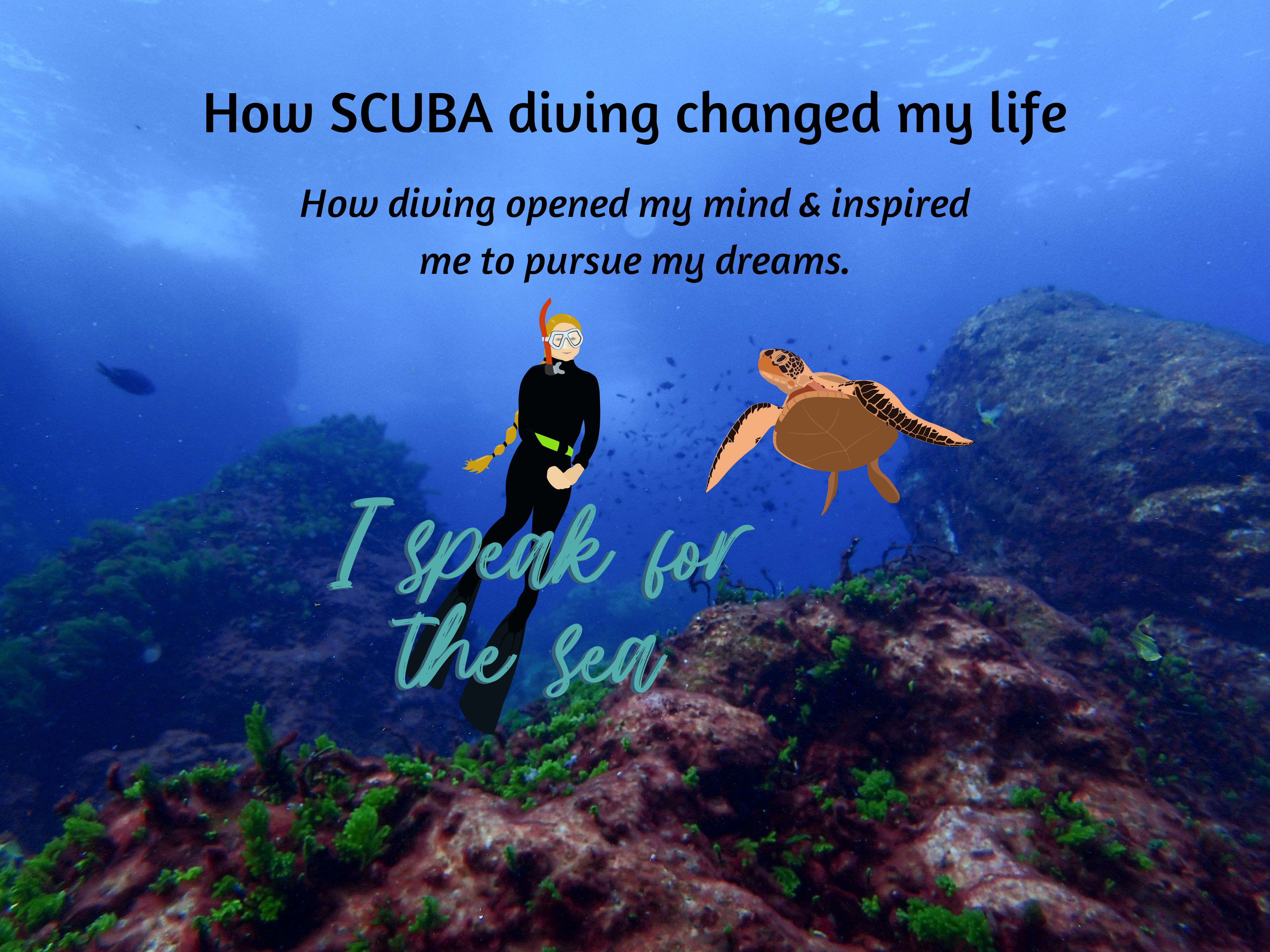 Read more about the article How SCUBA diving changed my life